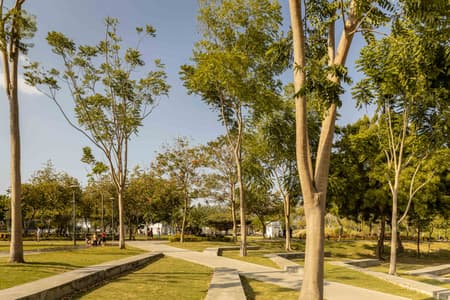 Las Vegas Park